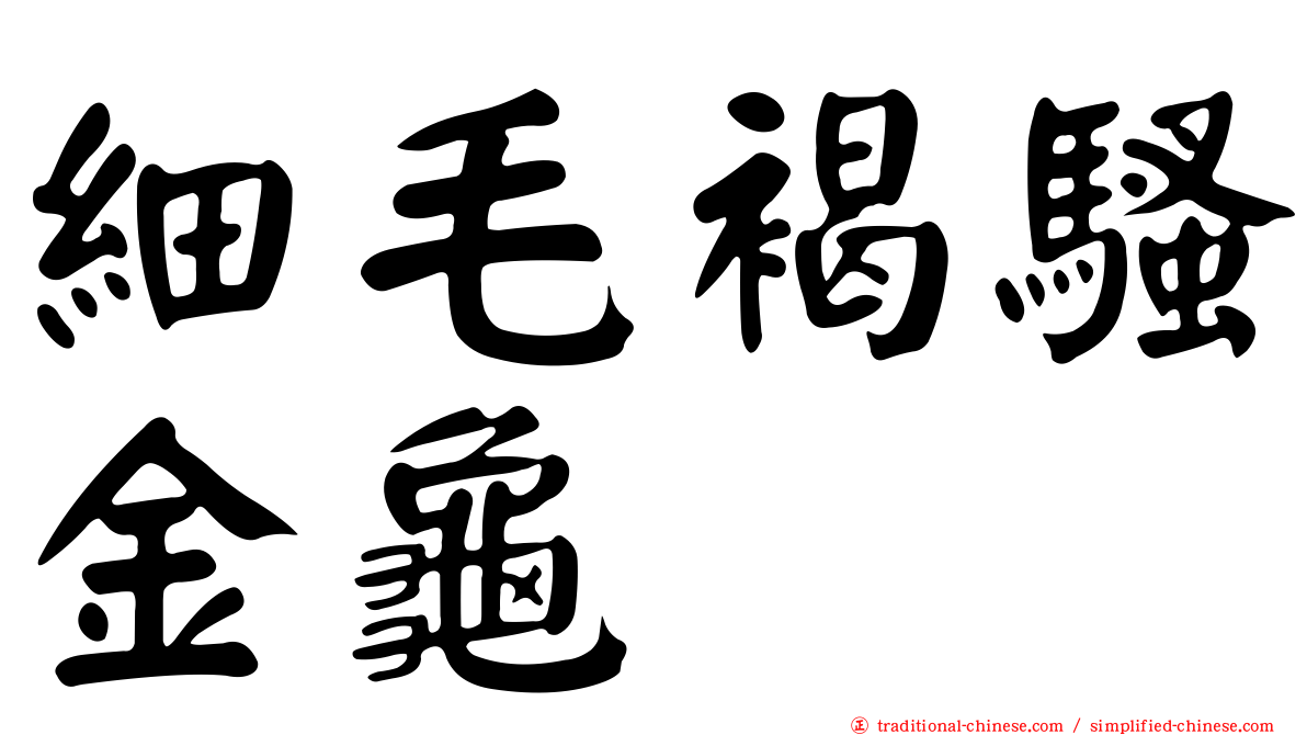 細毛褐騷金龜