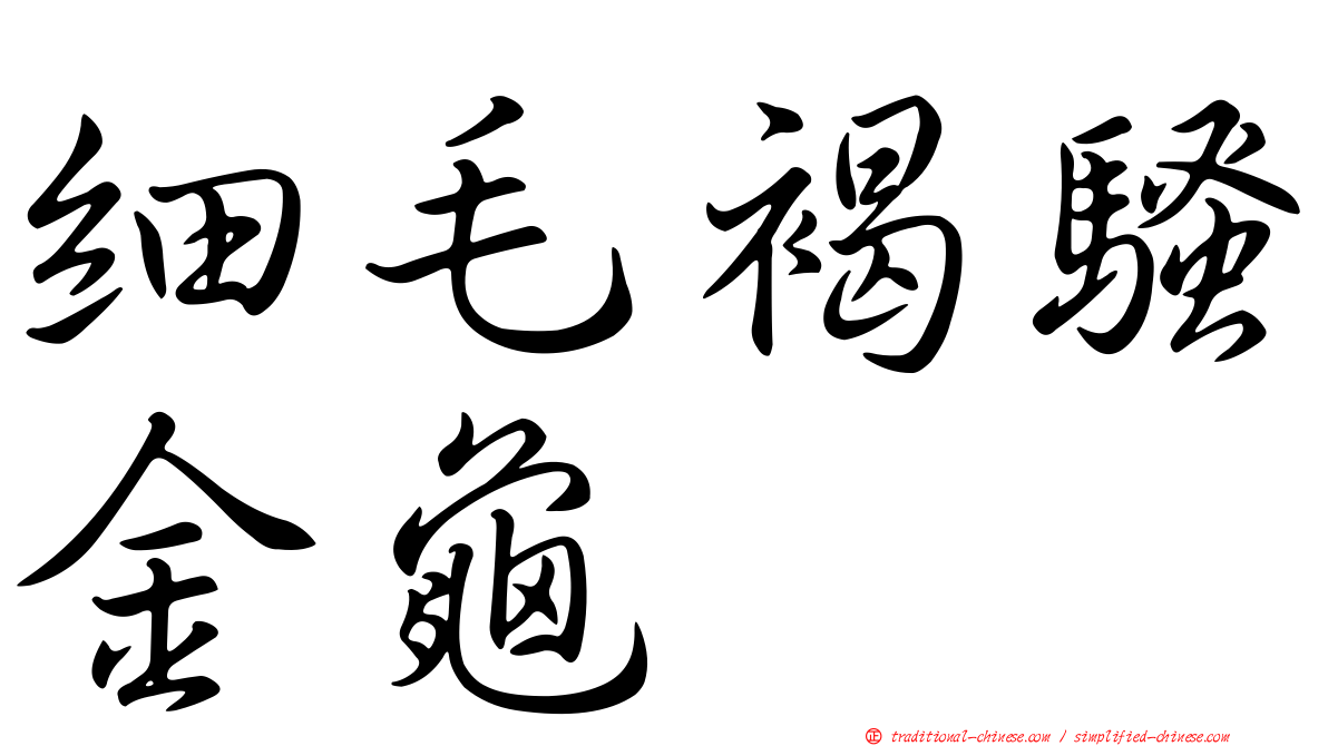 細毛褐騷金龜