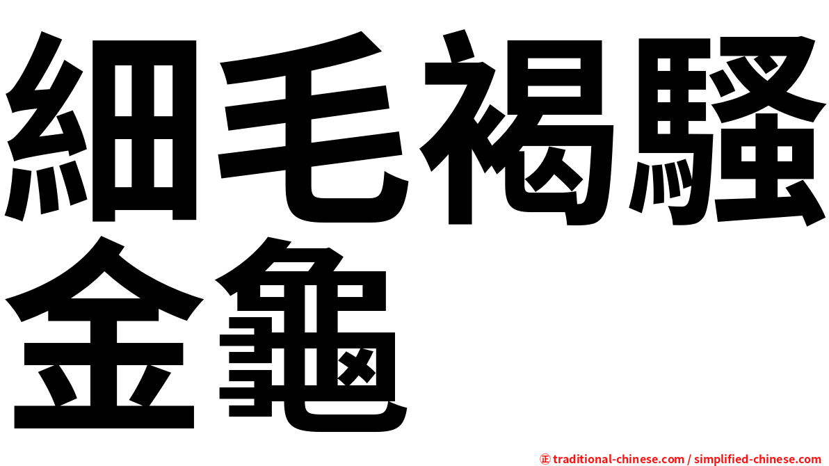 細毛褐騷金龜