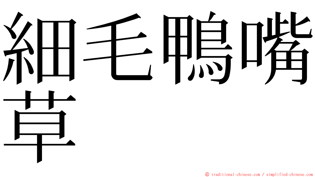 細毛鴨嘴草 ming font