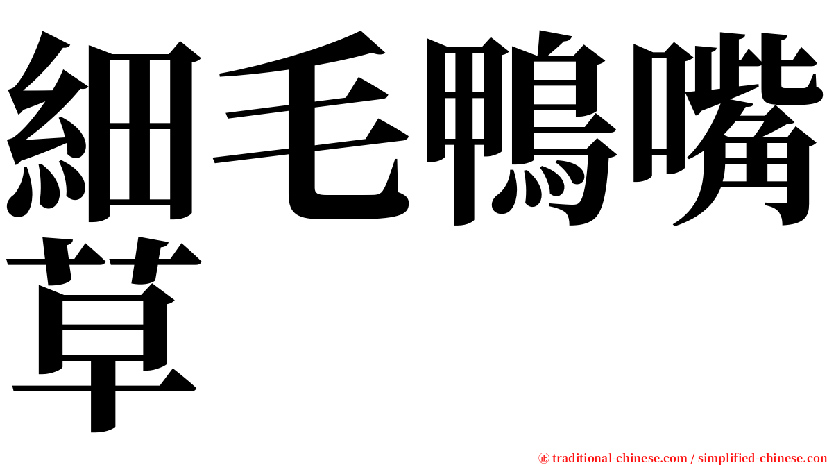 細毛鴨嘴草 serif font