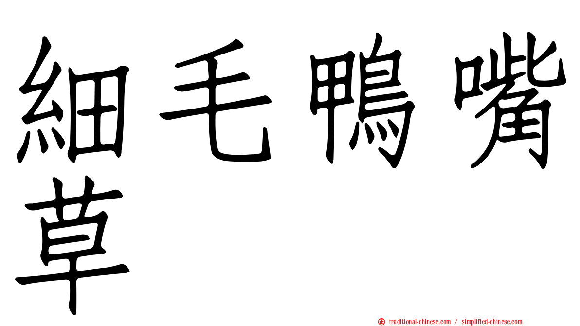 細毛鴨嘴草