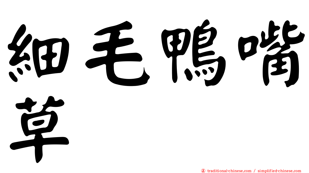細毛鴨嘴草