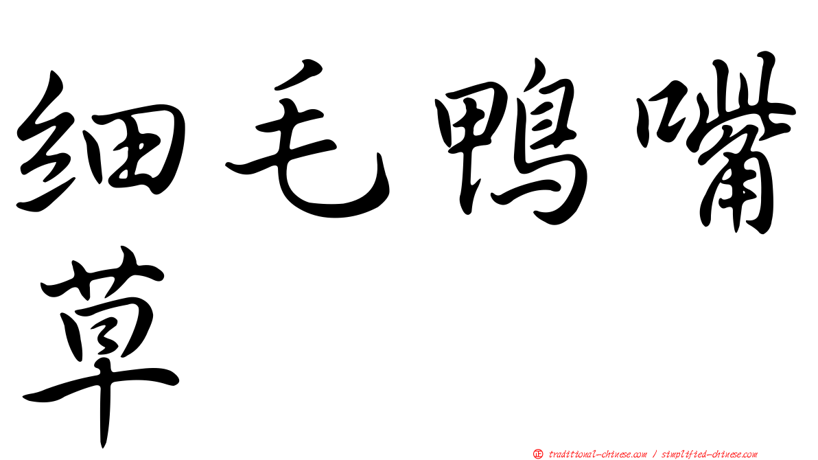 細毛鴨嘴草