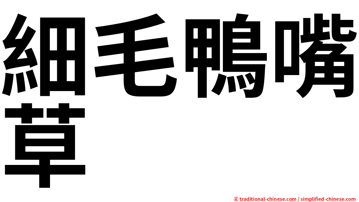 細毛鴨嘴草