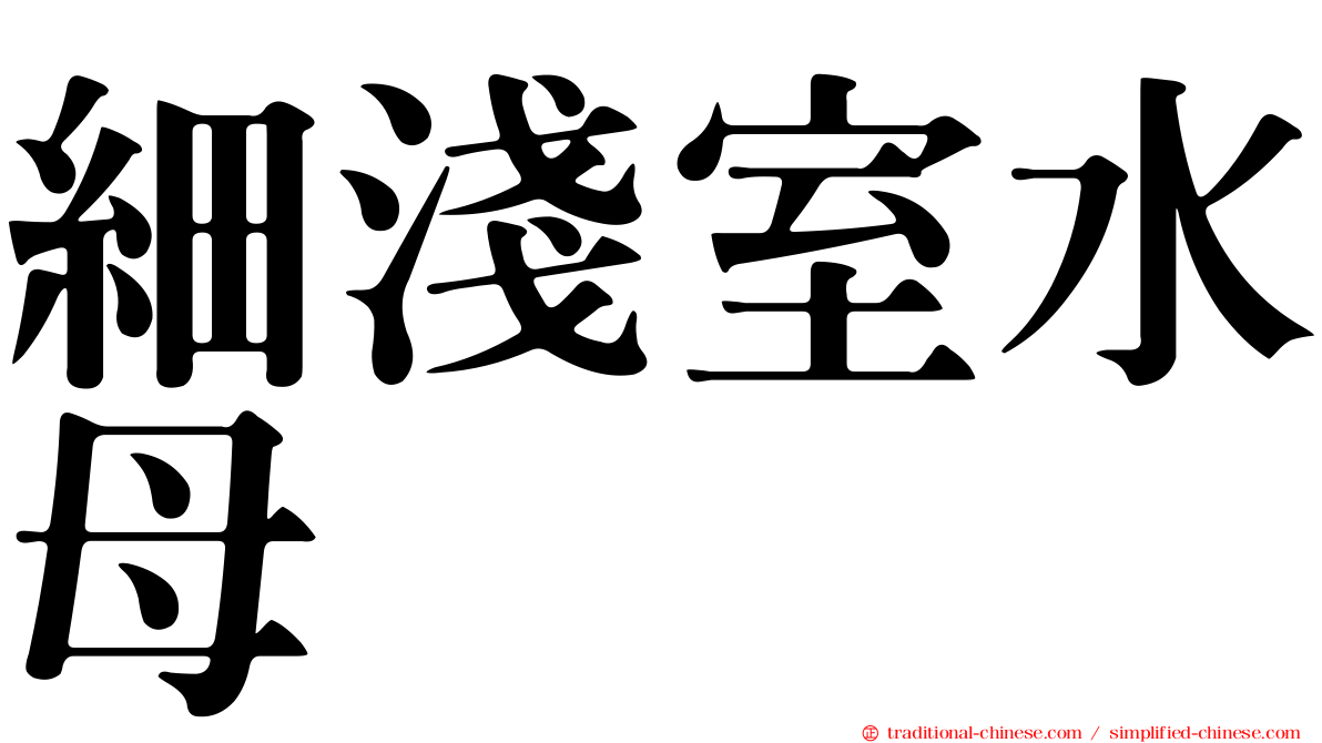 細淺室水母