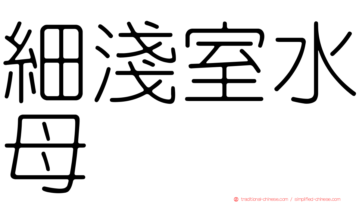 細淺室水母