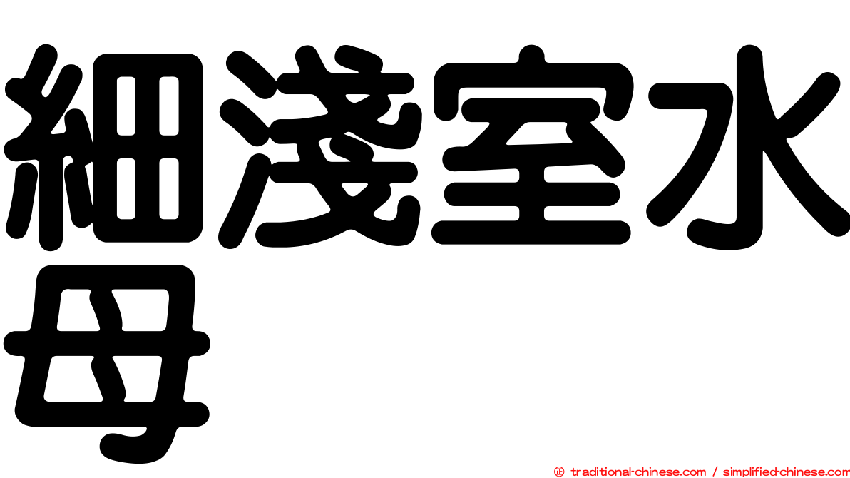 細淺室水母