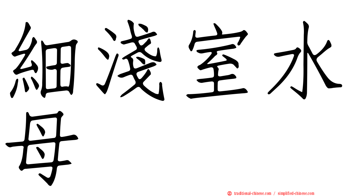 細淺室水母