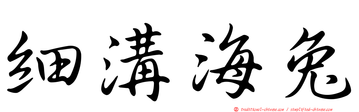 細溝海兔