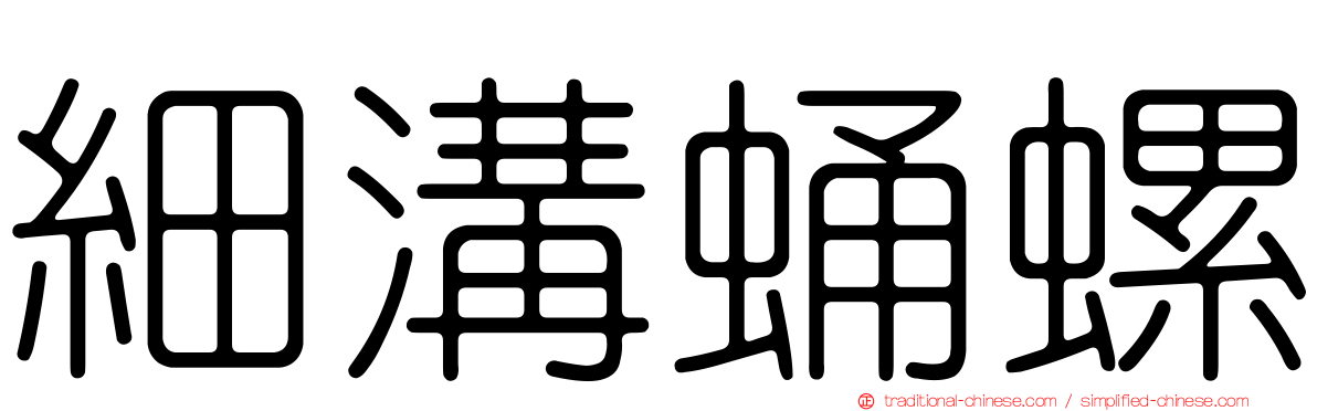 細溝蛹螺