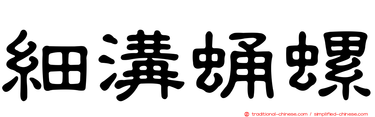 細溝蛹螺