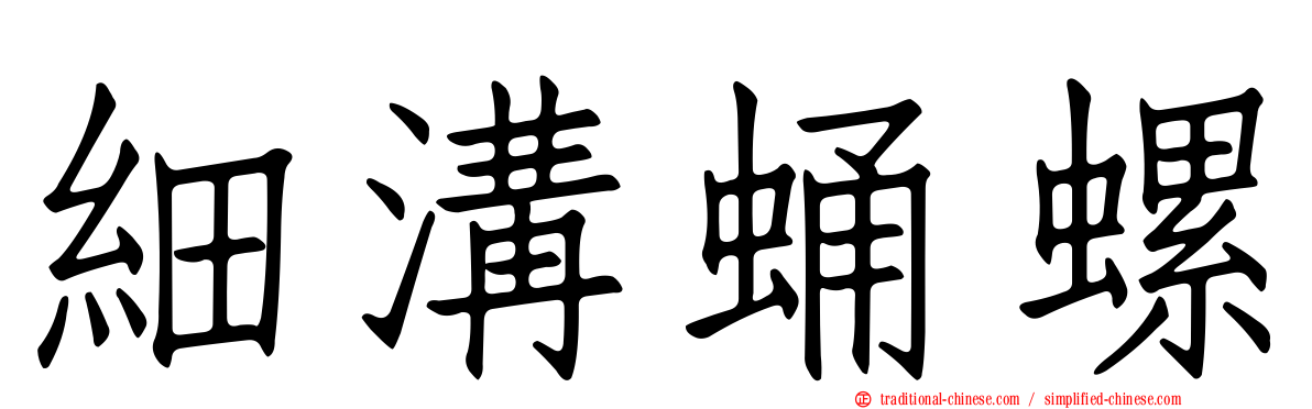 細溝蛹螺