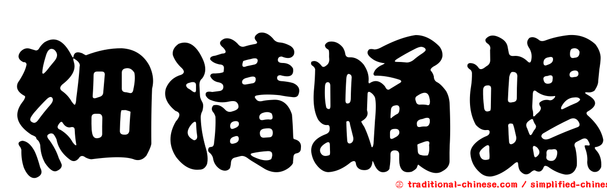 細溝蛹螺