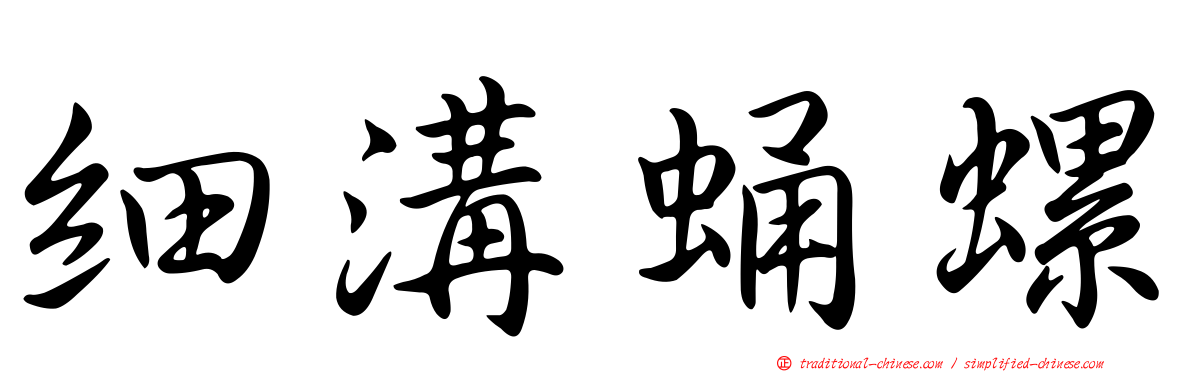 細溝蛹螺