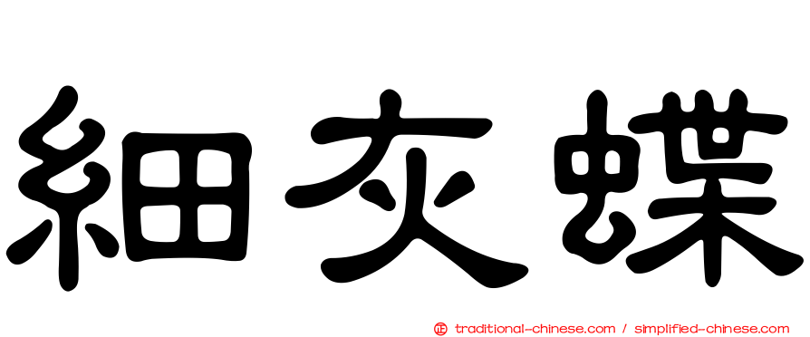 細灰蝶