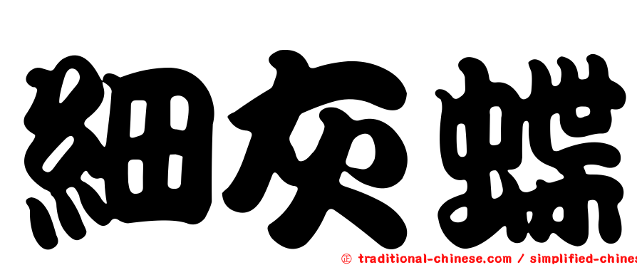 細灰蝶