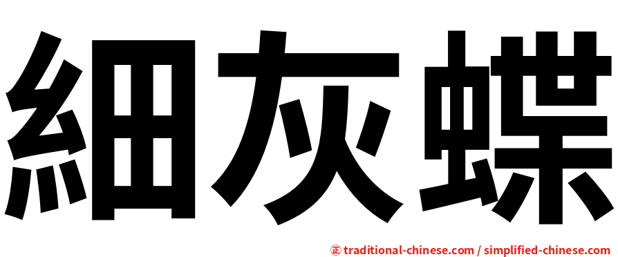 細灰蝶