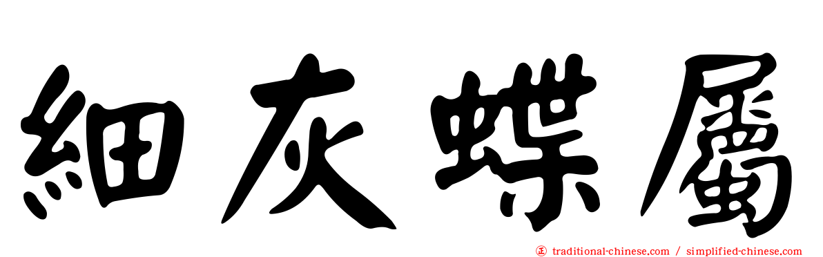 細灰蝶屬