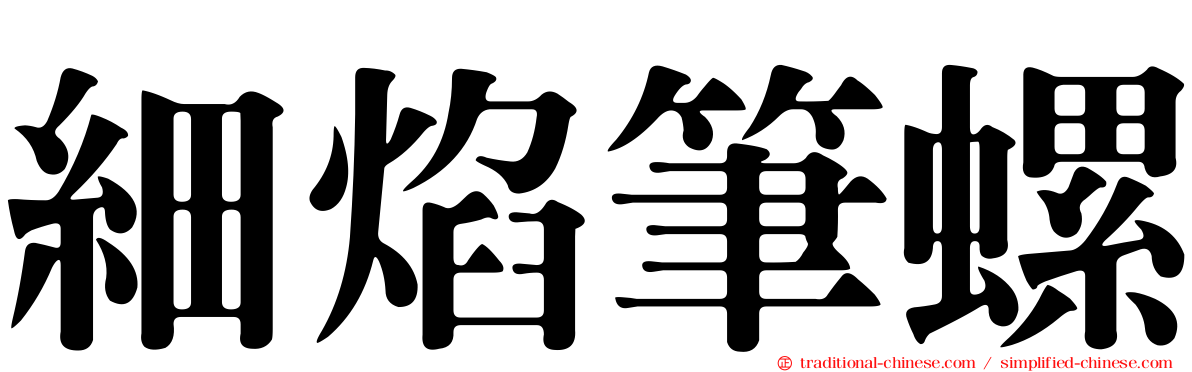 細焰筆螺