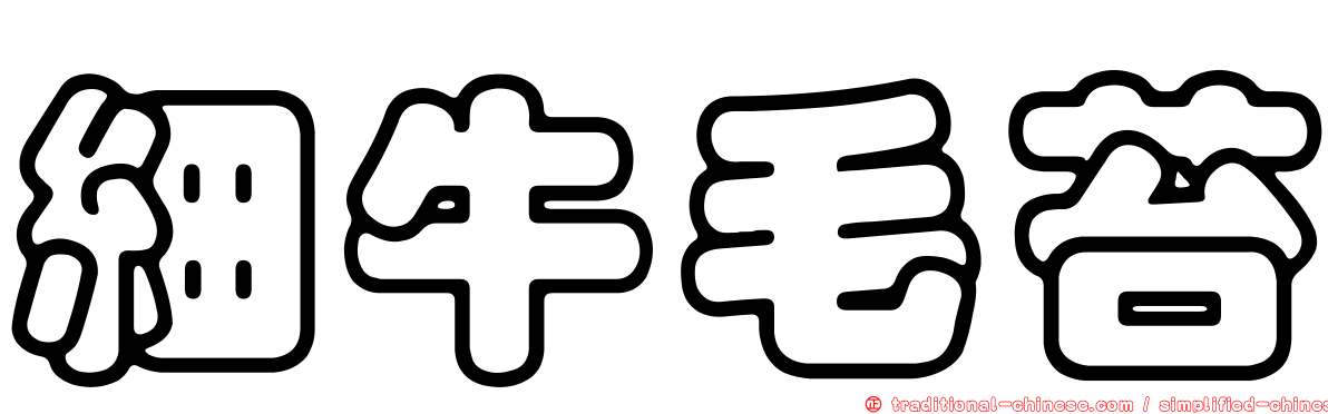 細牛毛苔