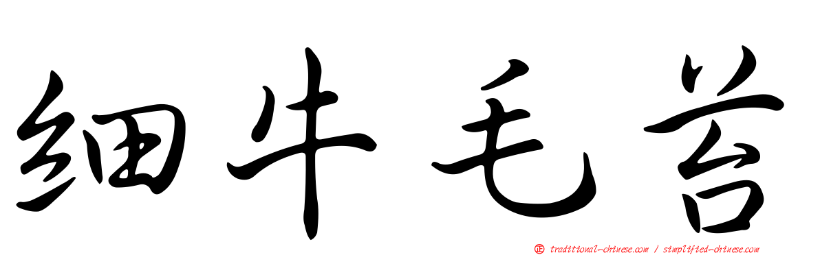 細牛毛苔