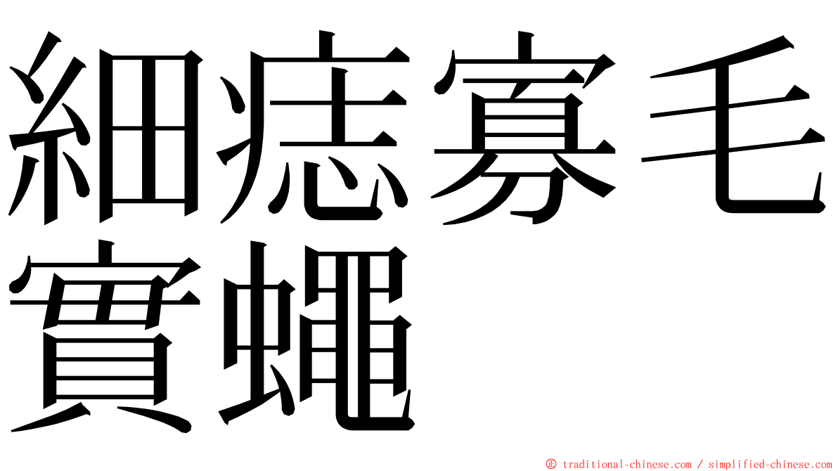 細痣寡毛實蠅 ming font