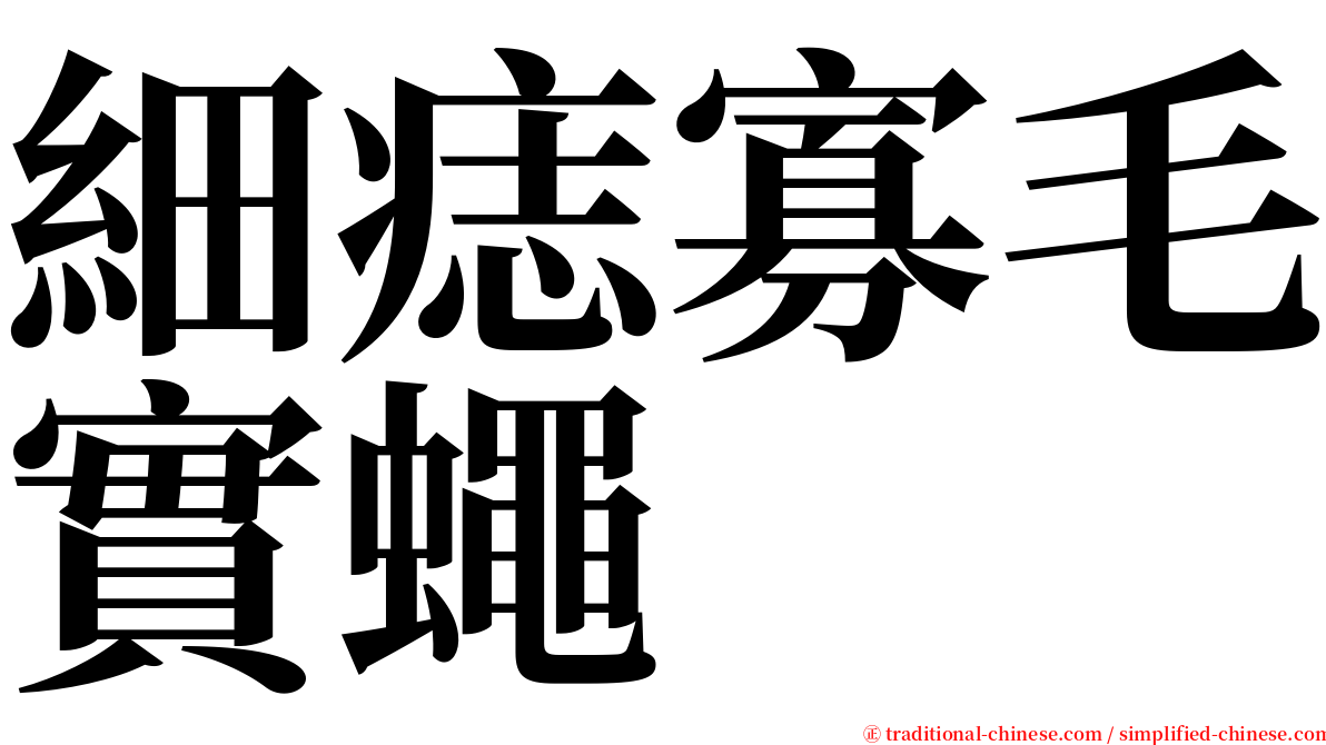 細痣寡毛實蠅 serif font