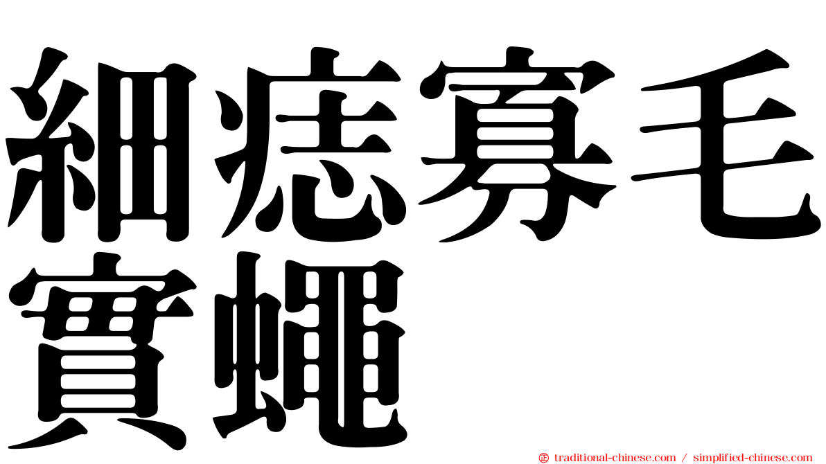 細痣寡毛實蠅