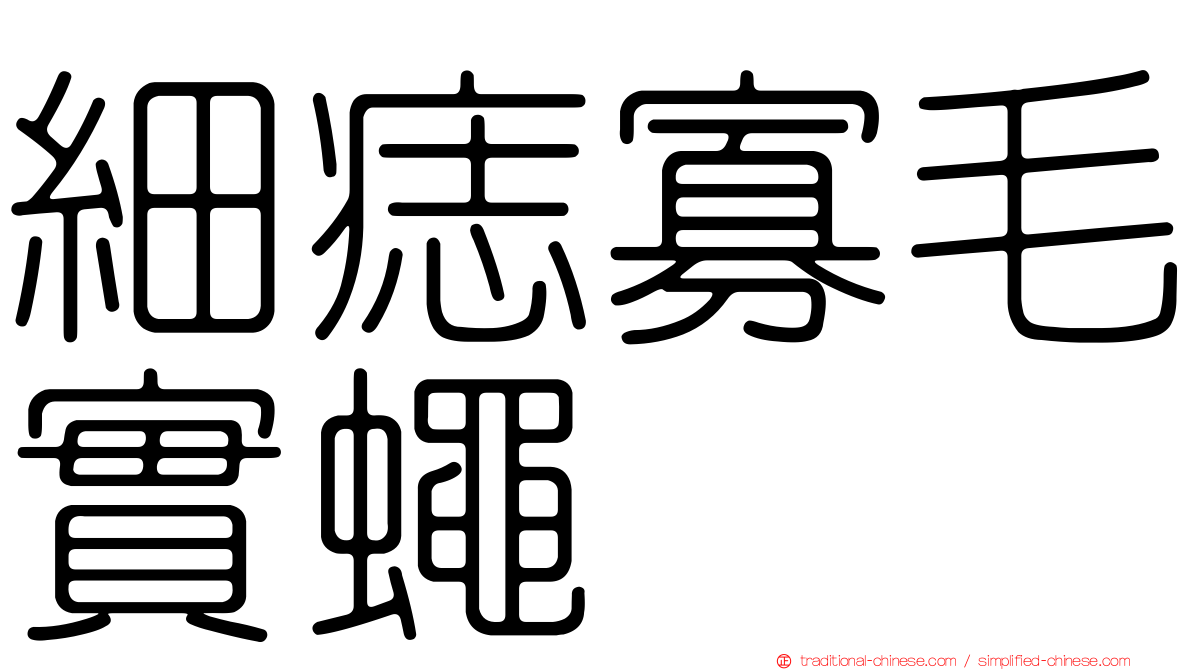 細痣寡毛實蠅