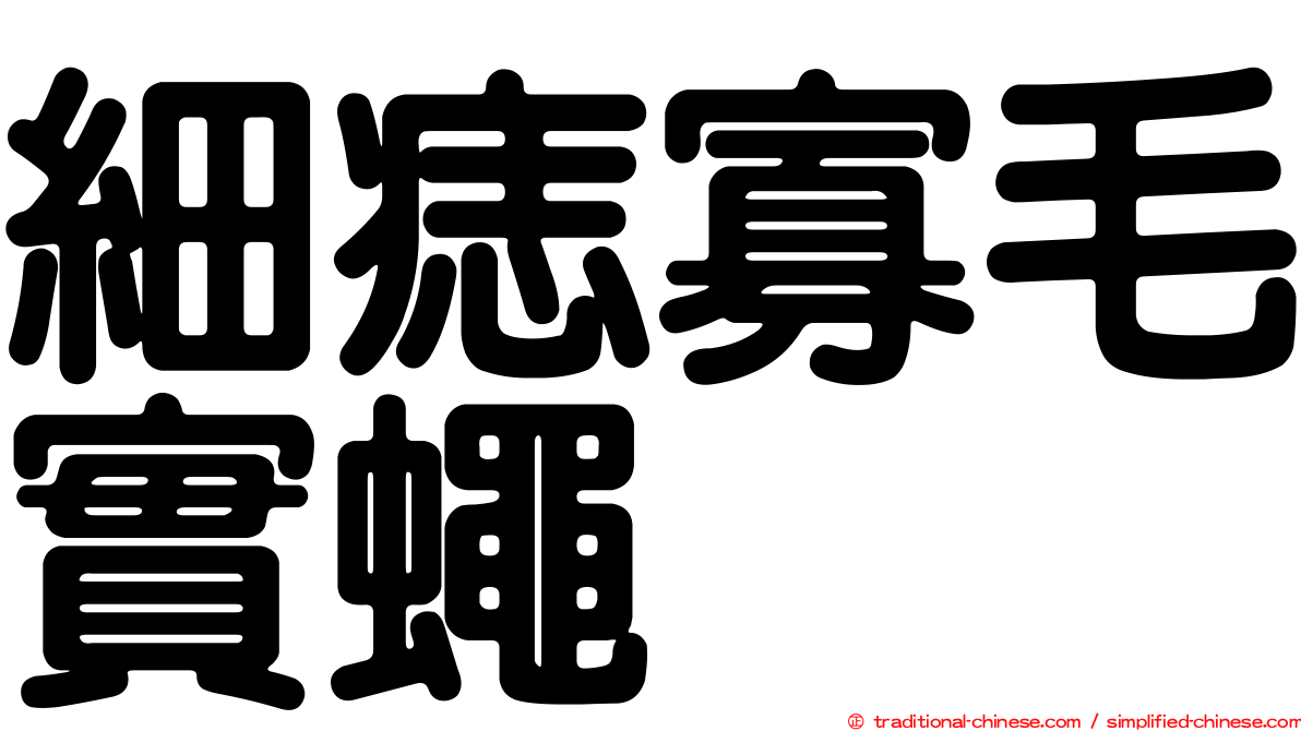 細痣寡毛實蠅
