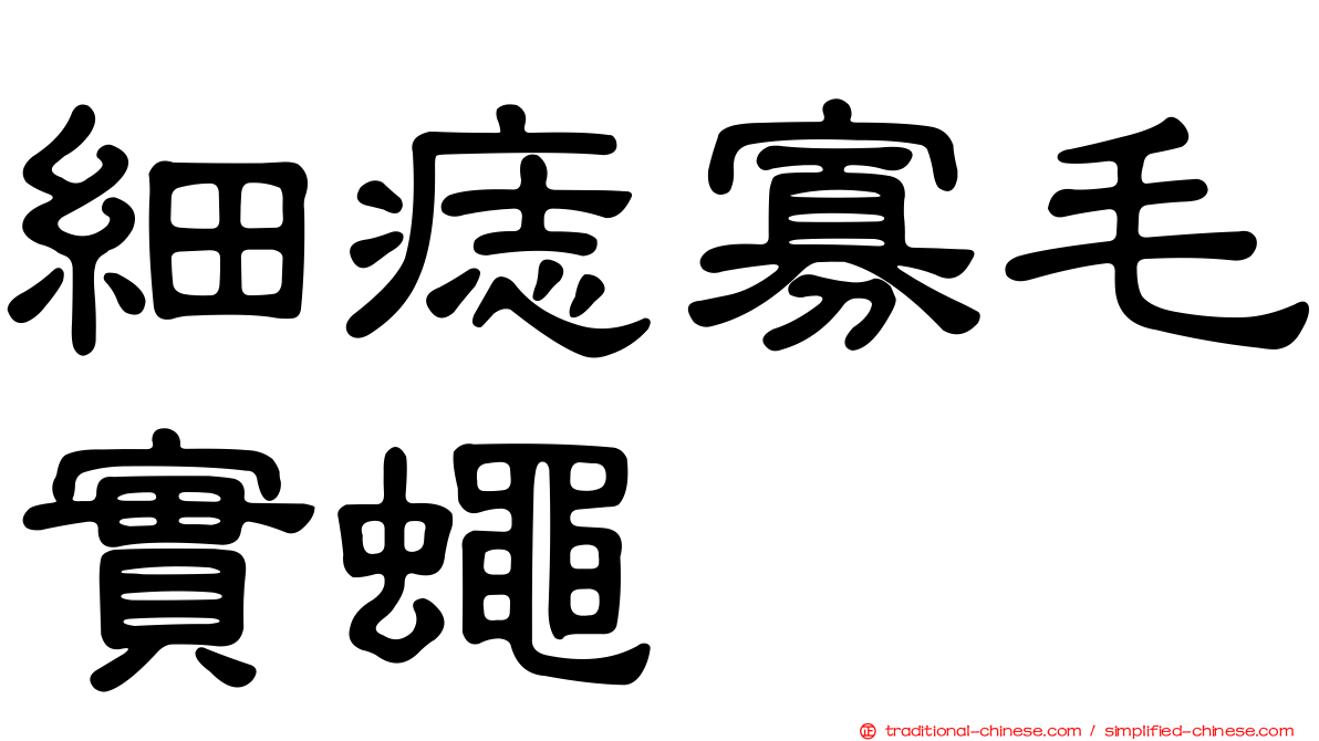 細痣寡毛實蠅
