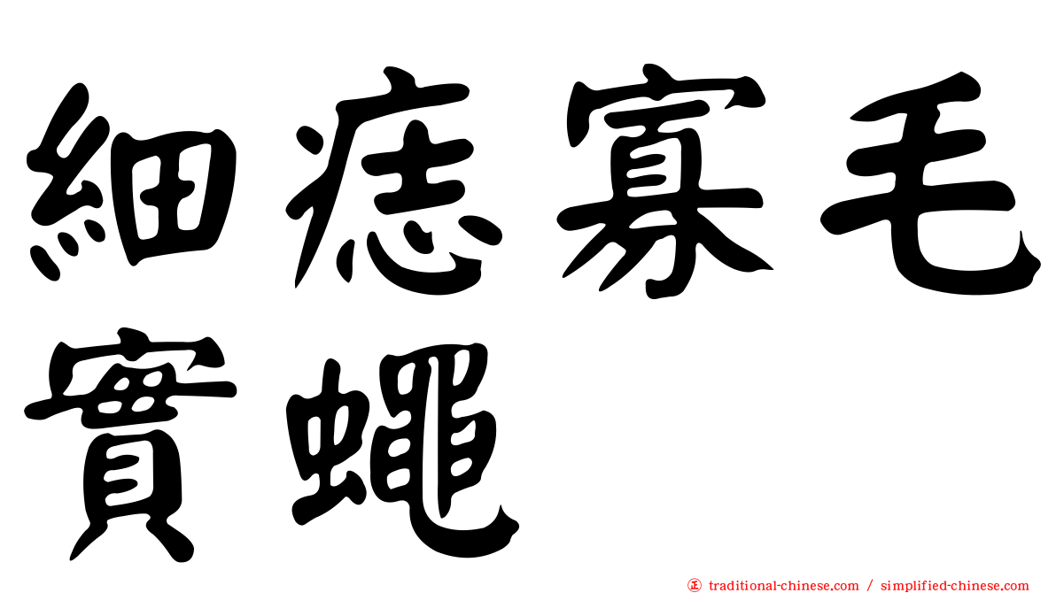 細痣寡毛實蠅