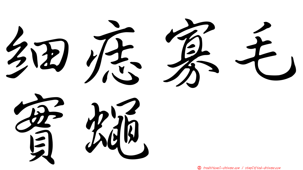 細痣寡毛實蠅