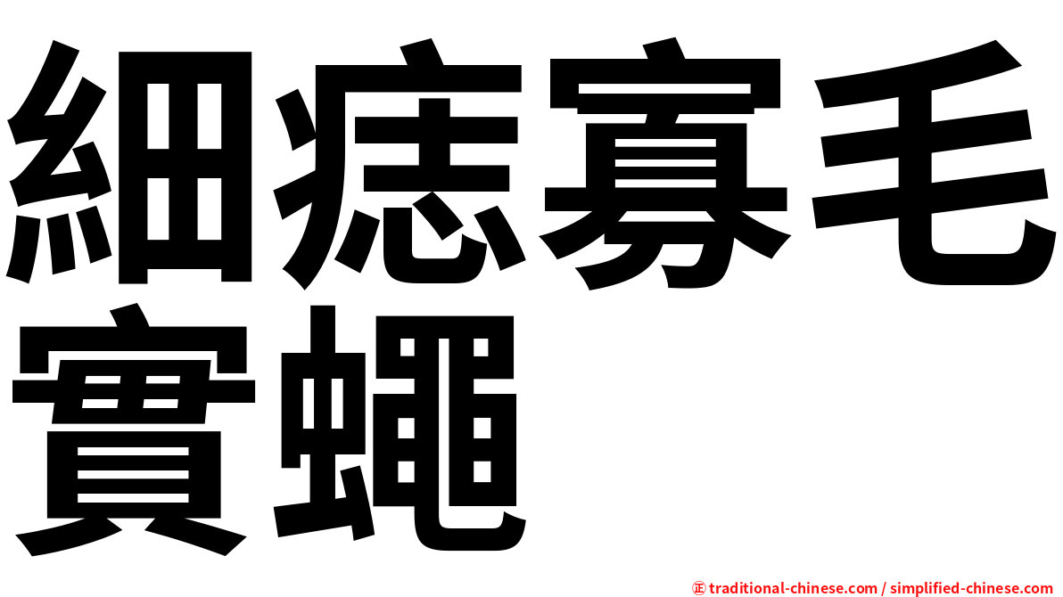 細痣寡毛實蠅