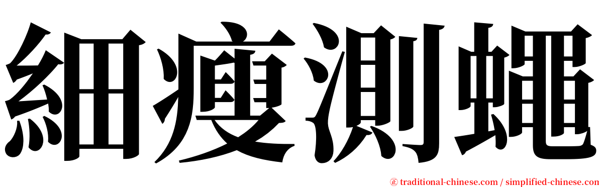 細瘦測蠅 serif font