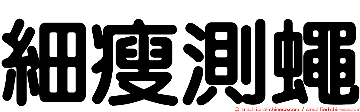 細瘦測蠅