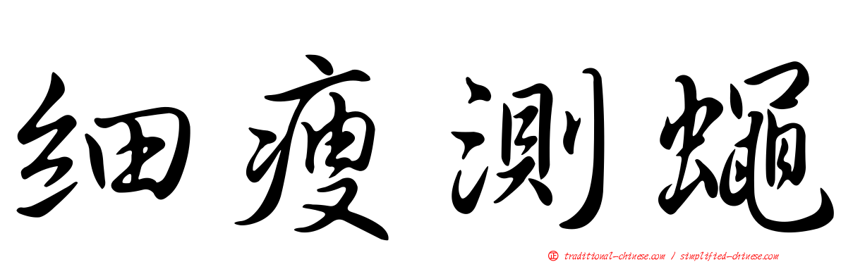 細瘦測蠅