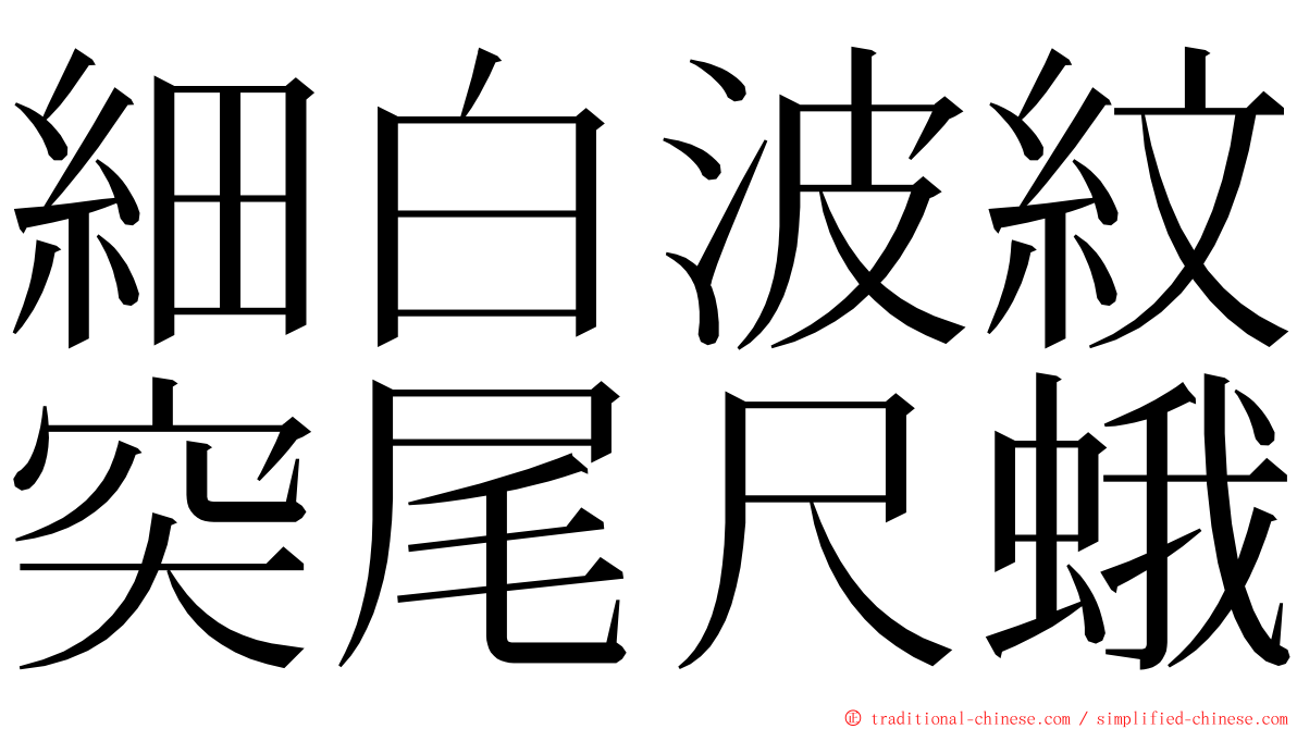 細白波紋突尾尺蛾 ming font