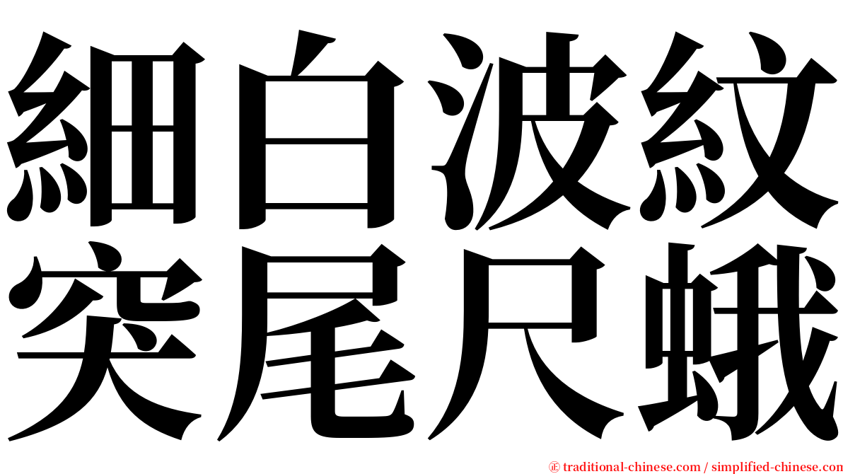 細白波紋突尾尺蛾 serif font