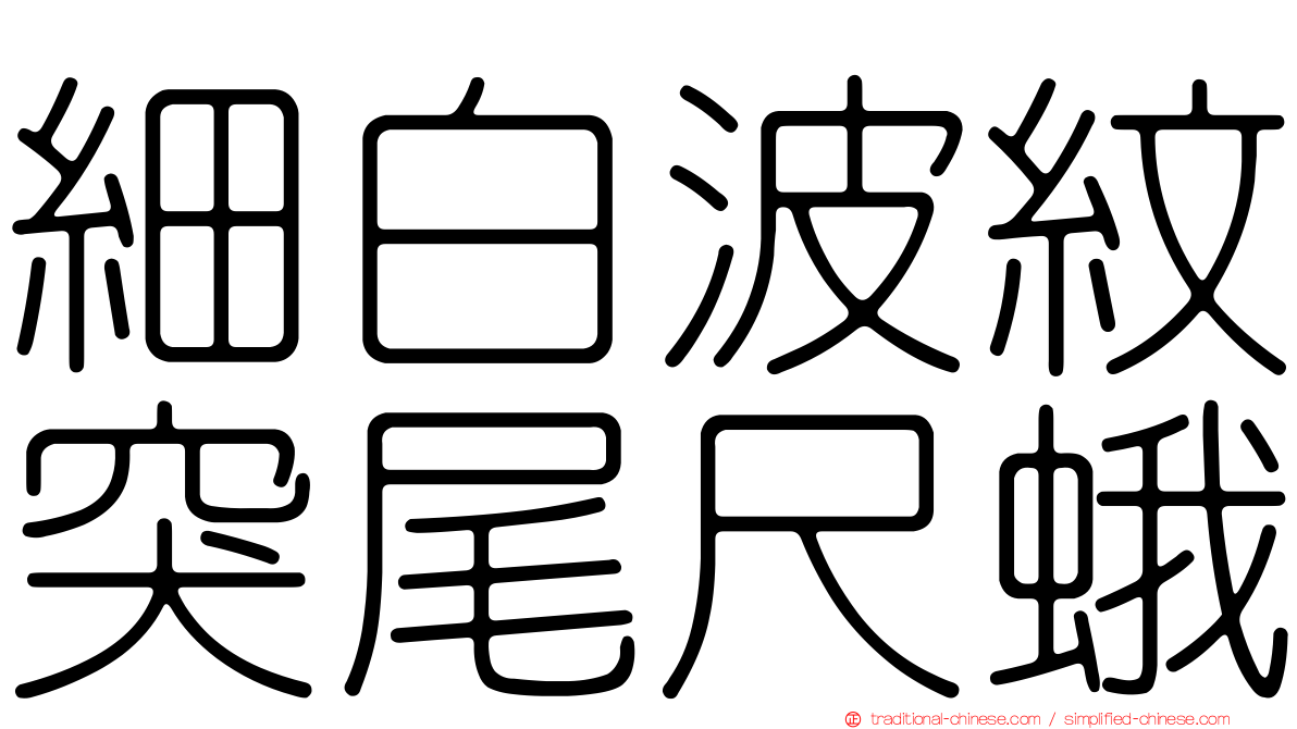 細白波紋突尾尺蛾
