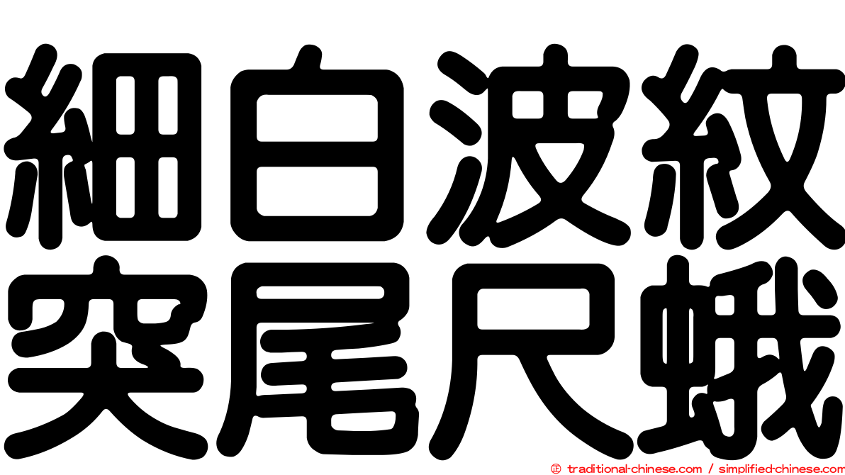 細白波紋突尾尺蛾