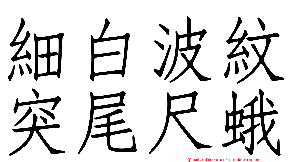 細白波紋突尾尺蛾