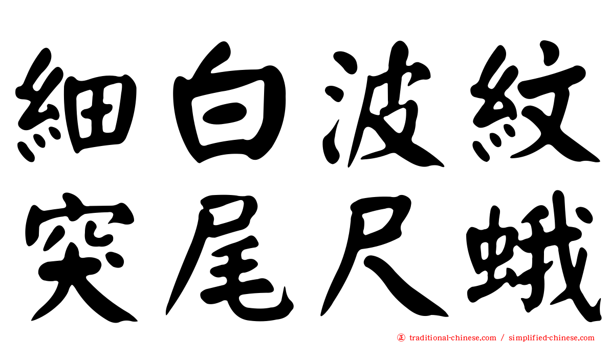 細白波紋突尾尺蛾