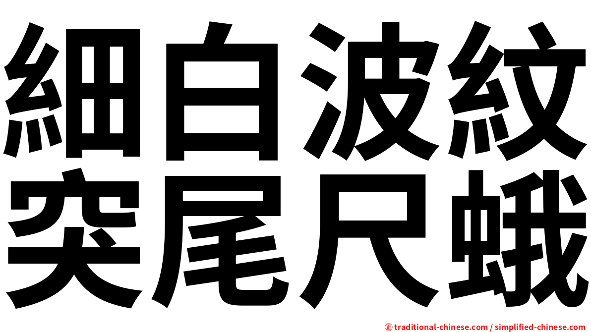 細白波紋突尾尺蛾