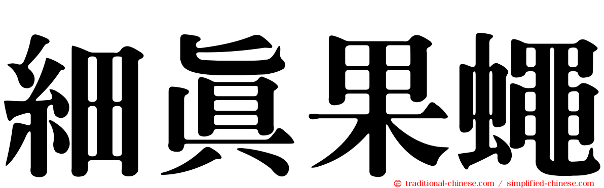 細真果蠅