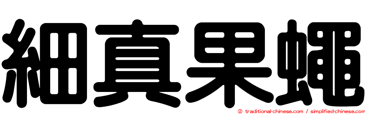 細真果蠅