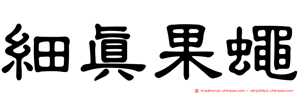 細真果蠅