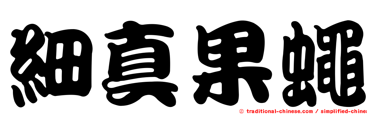細真果蠅