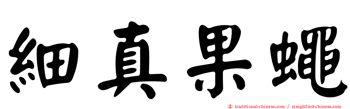 細真果蠅